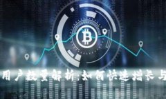 TPWallet用户数量解析：如何快速增长与未来趋势